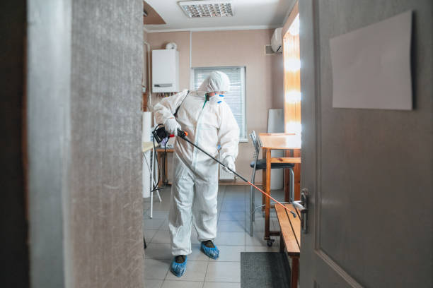 Best Real Estate Mold Inspection  in Mount Clemens, MI