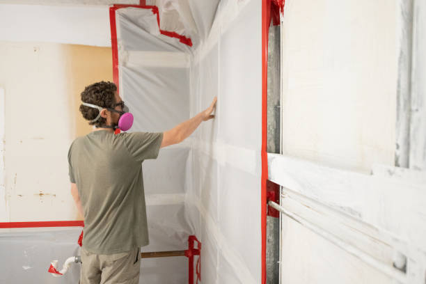 Best Commercial Mold Inspection  in Mount Clemens, MI