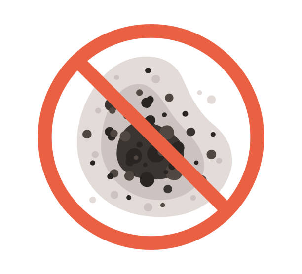 Best Mold Odor Removal Services  in Mount Clemens, MI