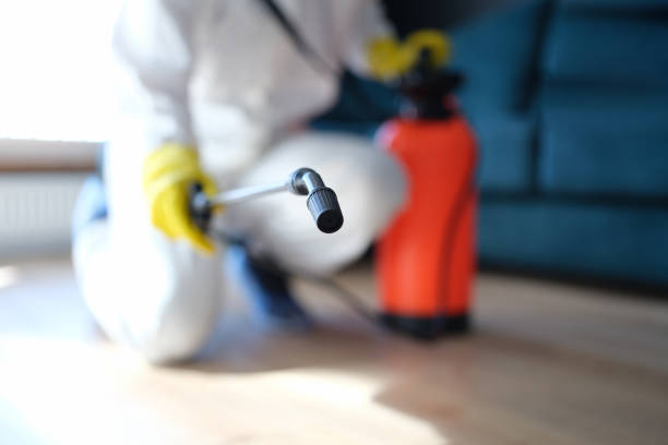 Best Crawl Space Mold Remediation  in Mount Clemens, MI